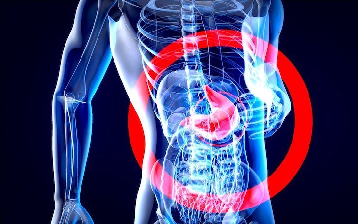 Microbiota protegge intestino