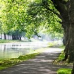 camminare contro depressione benefici passeggiate parchi alberi