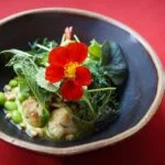 Hierbas primaverales, que son y usos en la cocina 7 erbe primaverili