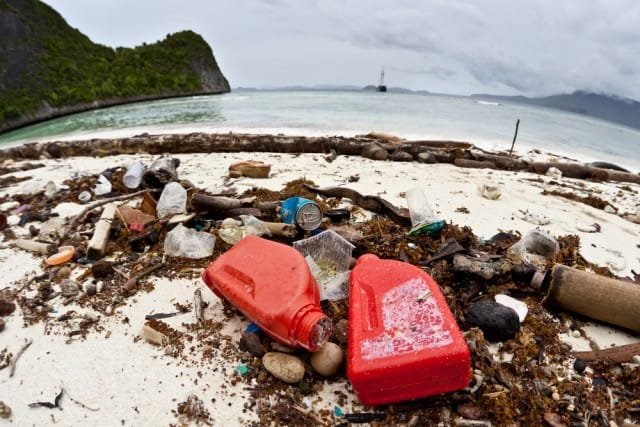 mare pattumiera inquinamento rifiuti plastica