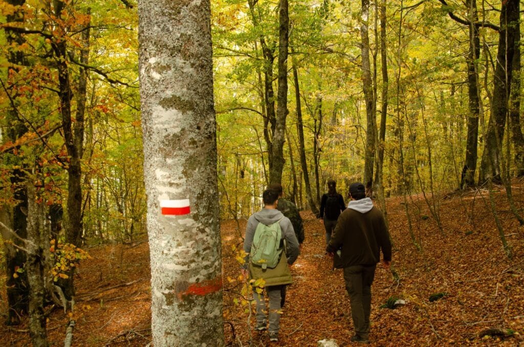 Parco nazionale dAbruzzo Lazio e Molise