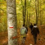 Parque Natural de Abruzzo, Lazio y Molise en otoño