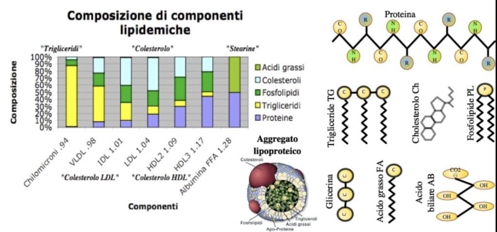 lipoproteina