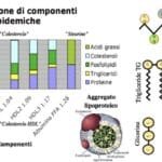 Lipoproteína: qué es y por qué se debe mantener baja