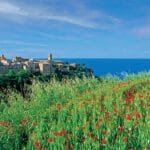 Torre di Palme: el balcón florido de Las Marcas