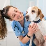 Cómo elegir un veterinario - no desperdicies