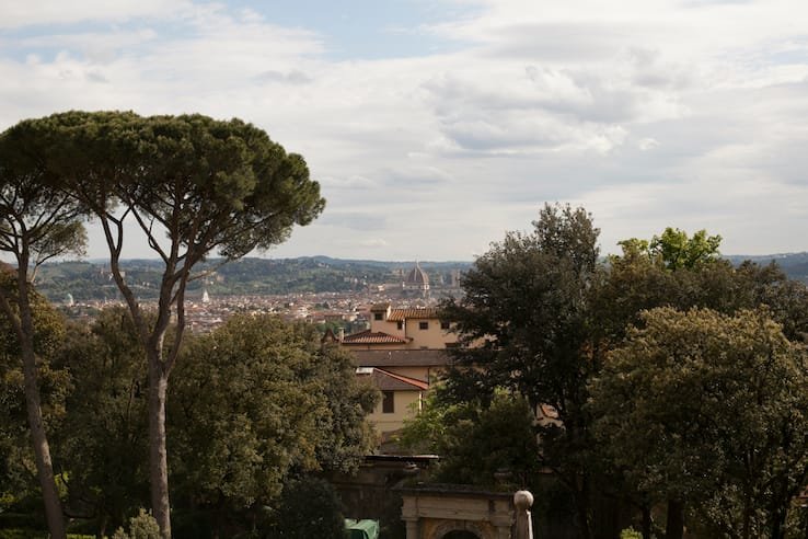 alberi firenze2