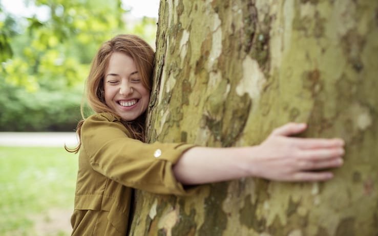 ABBRACCIARE ALBERI