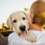 Cómo viajar en tren con tu perro