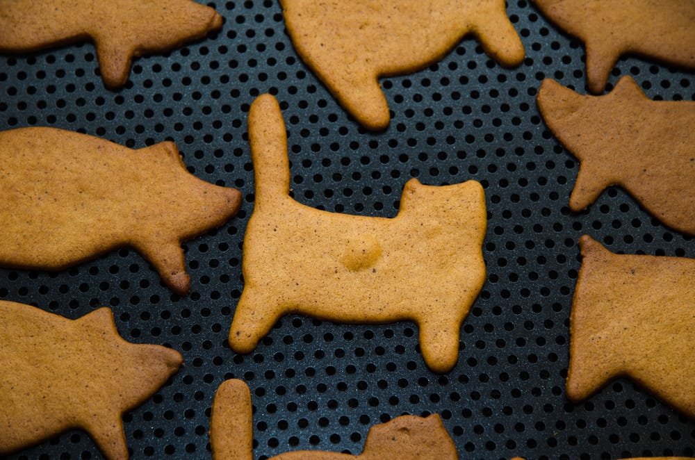 ricetta biscotti fai da te gatti 1