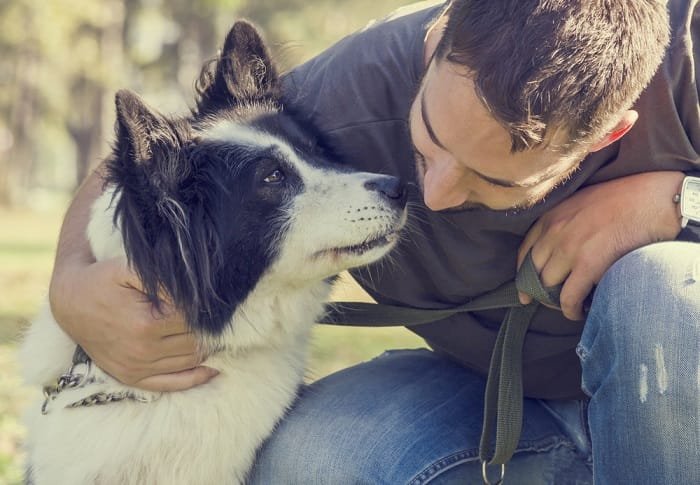 benefici degli animali domestici 1