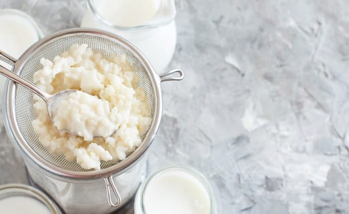 kefir benefici proprieta ricetta