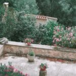 Plantas en el techo: más adecuado